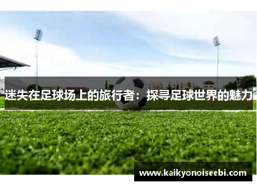 迷失在足球场上的旅行者：探寻足球世界的魅力